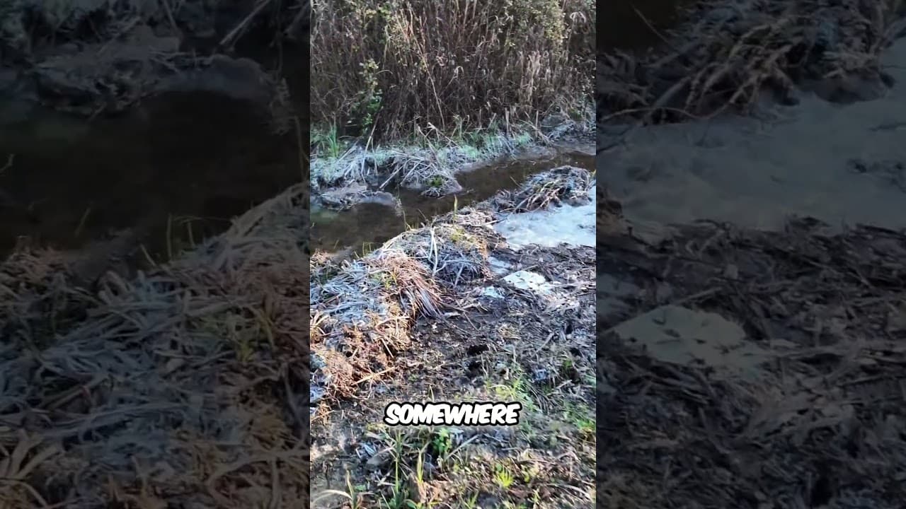 Canal Collapse on the Bridgewater Culvert Failure Causes Massive Breach!