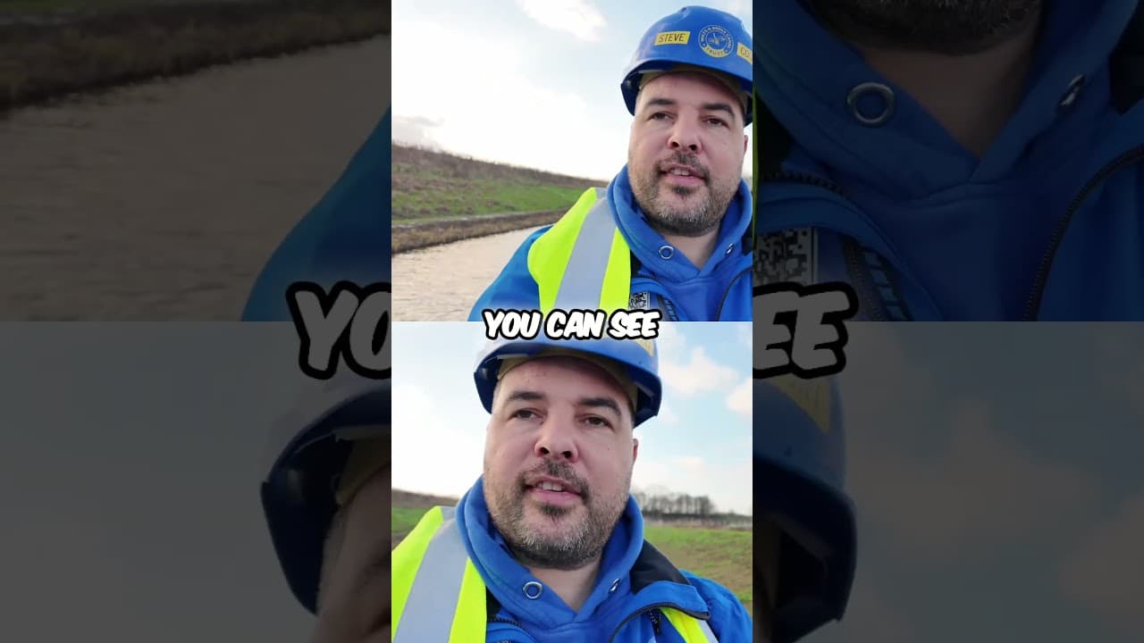 New Canal Habitat  Reeds, Trees, and Boat Navigation on the Wilts and Berks Canal