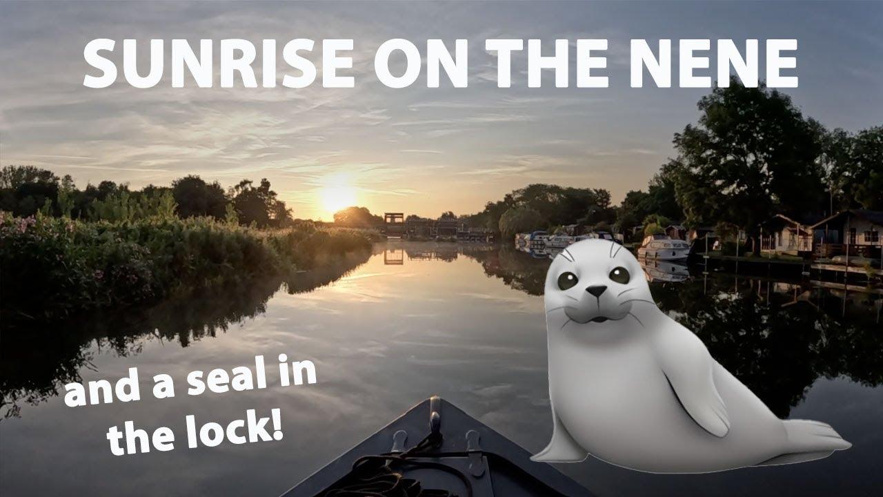 The Most Beautiful Sunrise Cruise and a Seal in the Lock