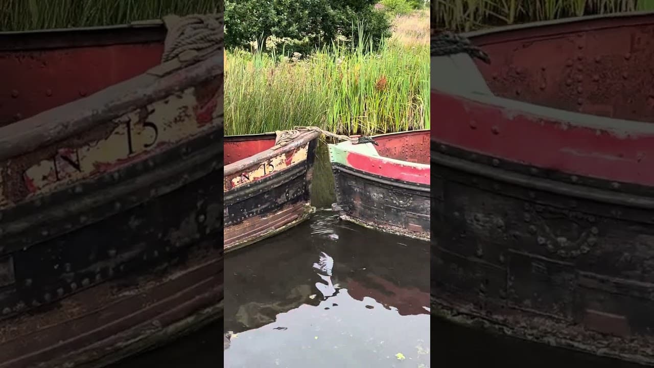 5 BCN Day Boats towed at IWA Festival of water 2023 Pelsall Common