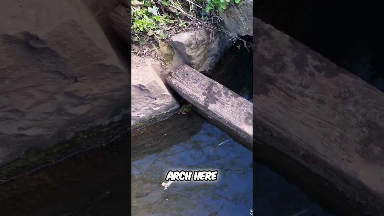 Canal Water Source  How We Filter Stream Water