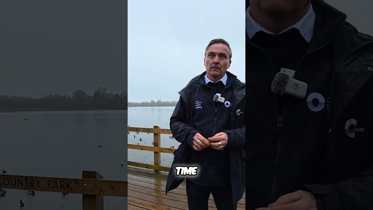 Dam Failure Lessons  Rebuilding and Future Prevention Strategies