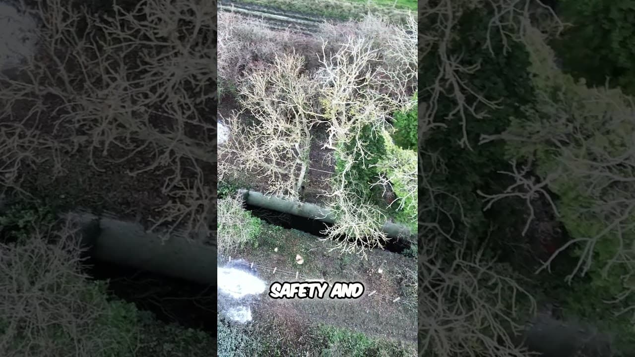 Overgrown Lock Transformation Unseen Progress Revealed! on the Wilts and Berks Canal