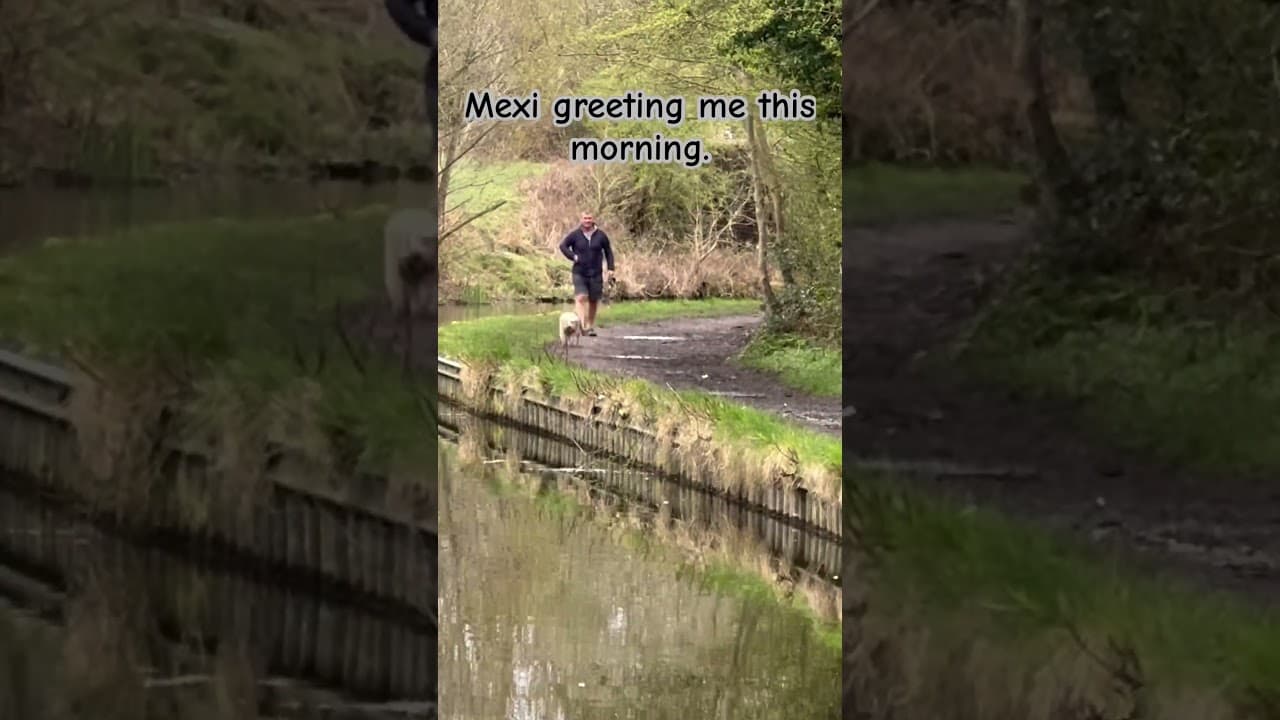 Mexi the Boat Dog Greeting Me.