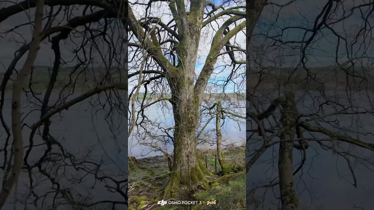 The beautiful Bala Lake Railway