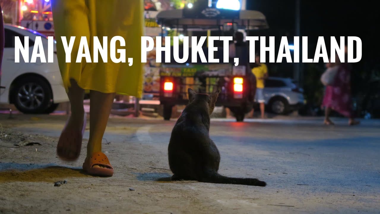 Welcome to Nai Yang, Thailand. | Go with Mylo