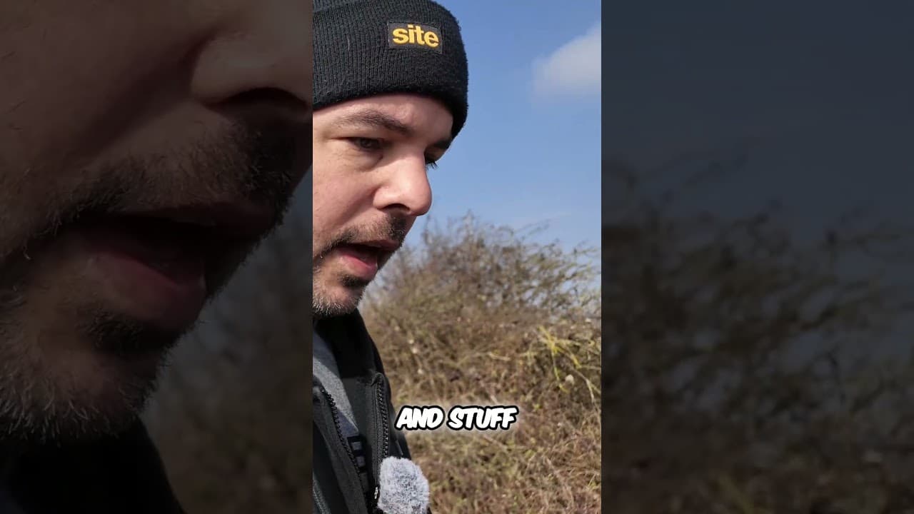 Abandoned Railway Tracks Transformed into Vibrant Greenways! with Back the Track