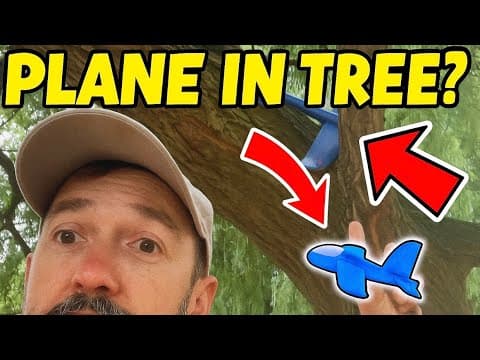 Toy Plane Stuck in a Tree?! 😲✈️