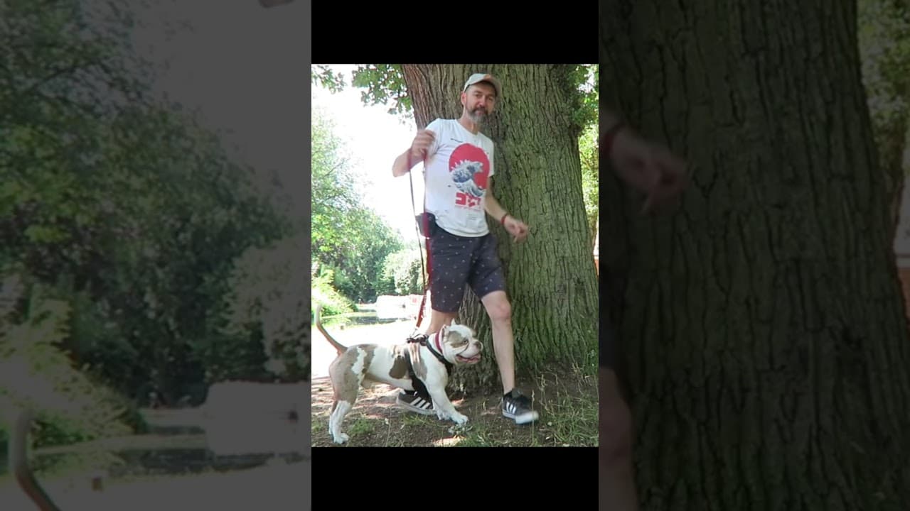 Last week on flow with Mylo. Shorts 302