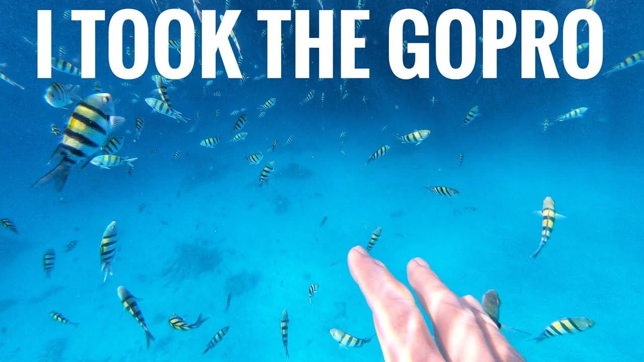 I took the GoPro*