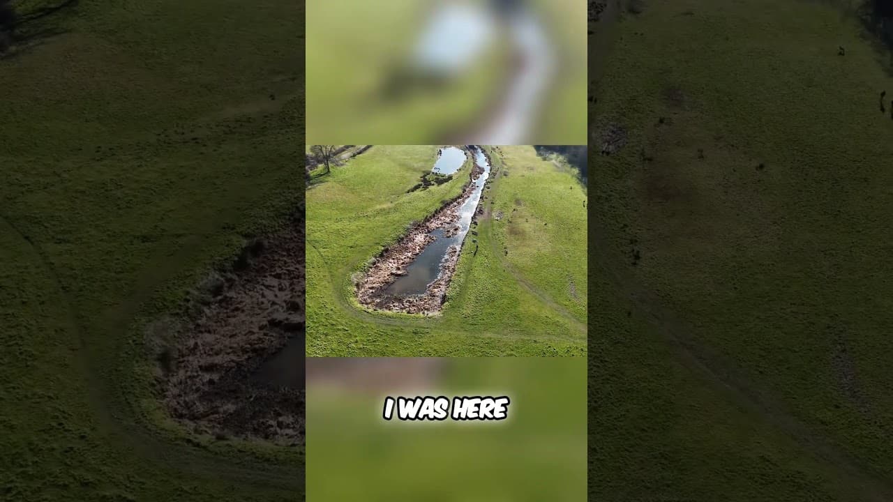 Canal Habitat Restoration  Wildlife Thriving After Clearance Work