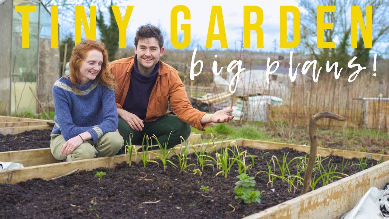 How Much Food Can We Grow in Our Tiny Garden? 🌿 Dreaming & Planning for the Year Ahead