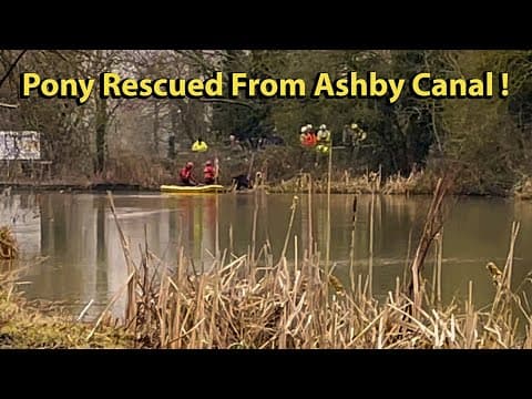 222- Narrowboat Life-Pony Rescued from Ashby Canal!