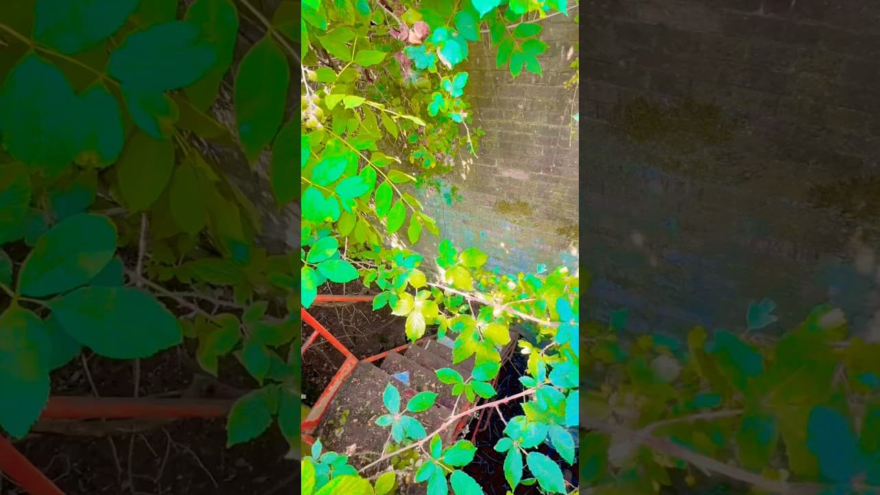This incredible abandoned lock has been hidden for 110 years!