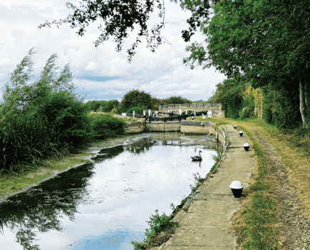 Canals bring cool relief in heatwaves