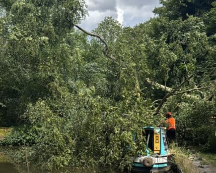 Tree strike at Wolseley Bridge