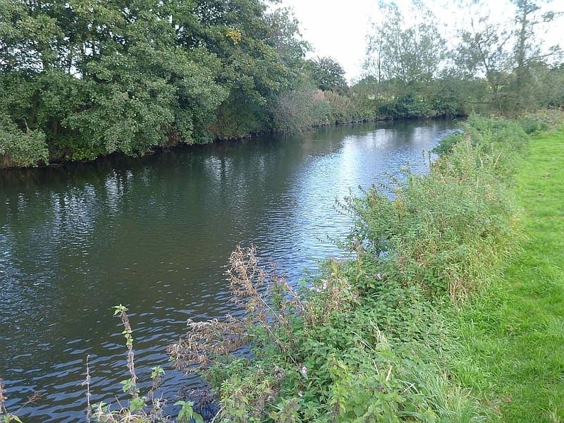DERBYSHIRE SALMON reveals powerful insights into river health