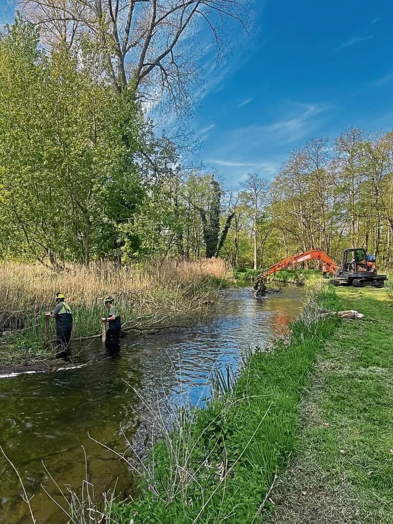 River Wissey restoration project gives wildlife a boost