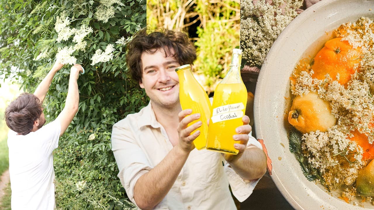 The Elderflower Cordial Recipe I Return To Every Year