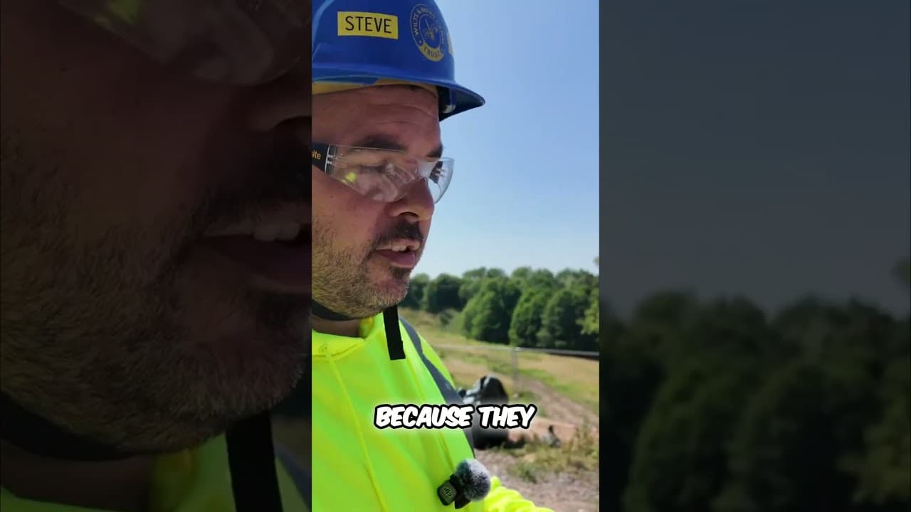 Canal Brick Repair Expert Restoration Techniques Revealed!