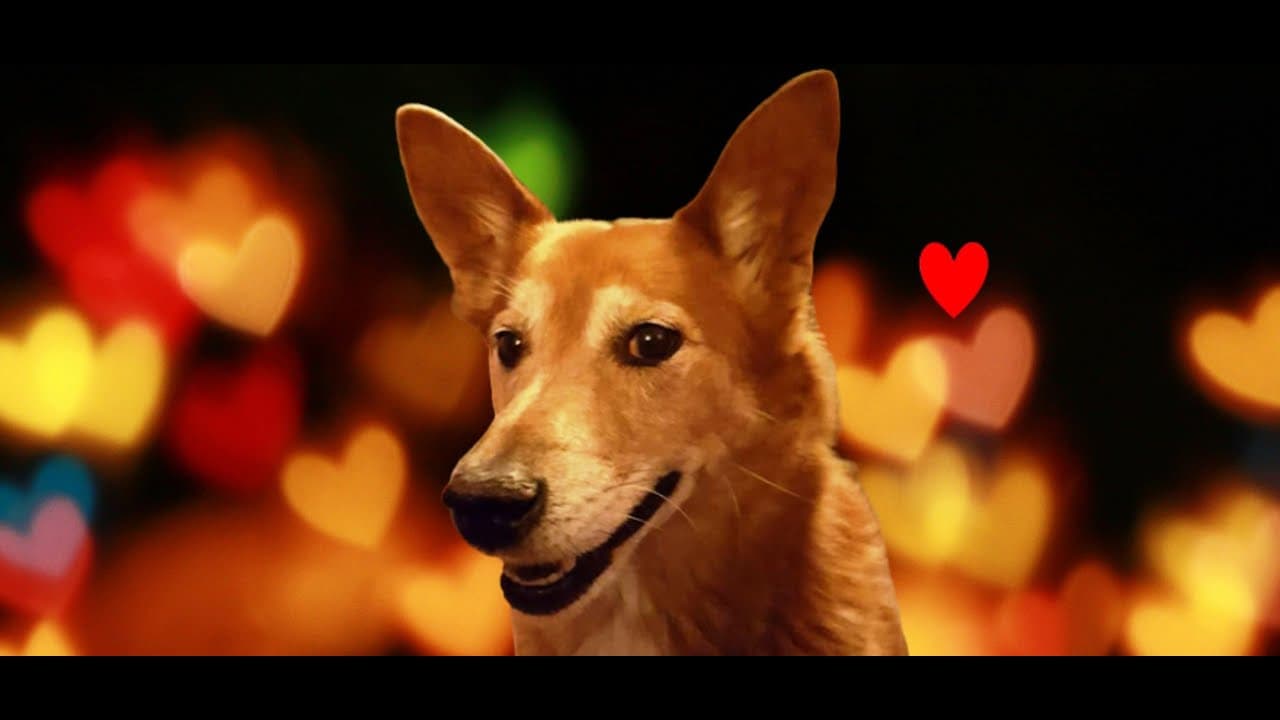 Update for NBLiberty