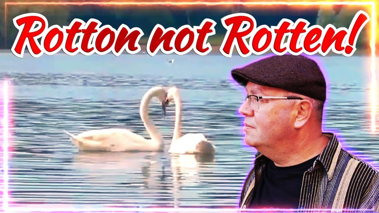 High & Dry? Quest To Keep Birmingham's Canals Flowing! Built For Industry, Now Tranquility! No 241