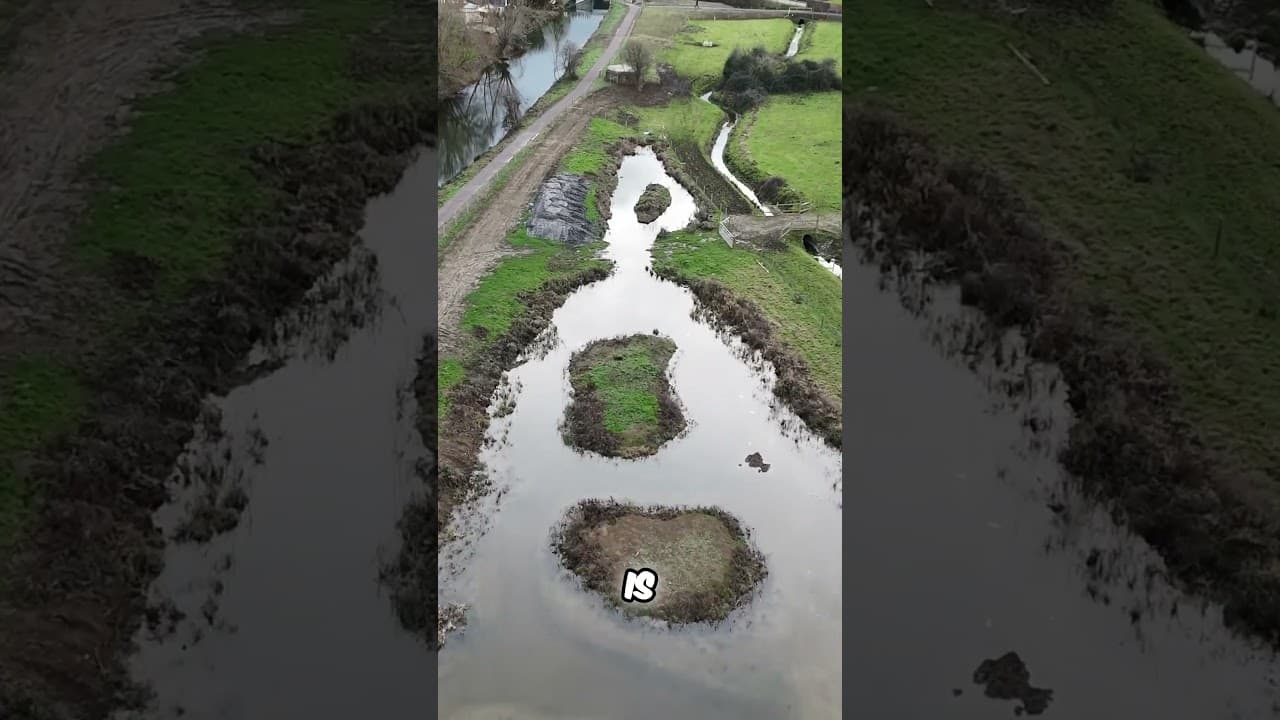 Cotswold Canal Trust's Incredible Nature Reserve Project Update