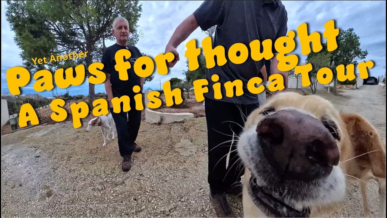#163 Yet Anther Paws for Thought - a walk around a Spanish Finca grounds with rescue dogs
