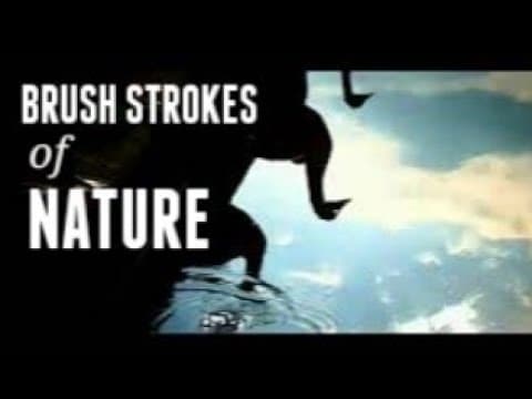 Brush Strokes of Nature - inspired by nature