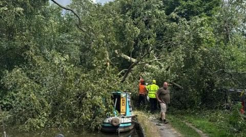 Canal blocked after tree falls on to boat