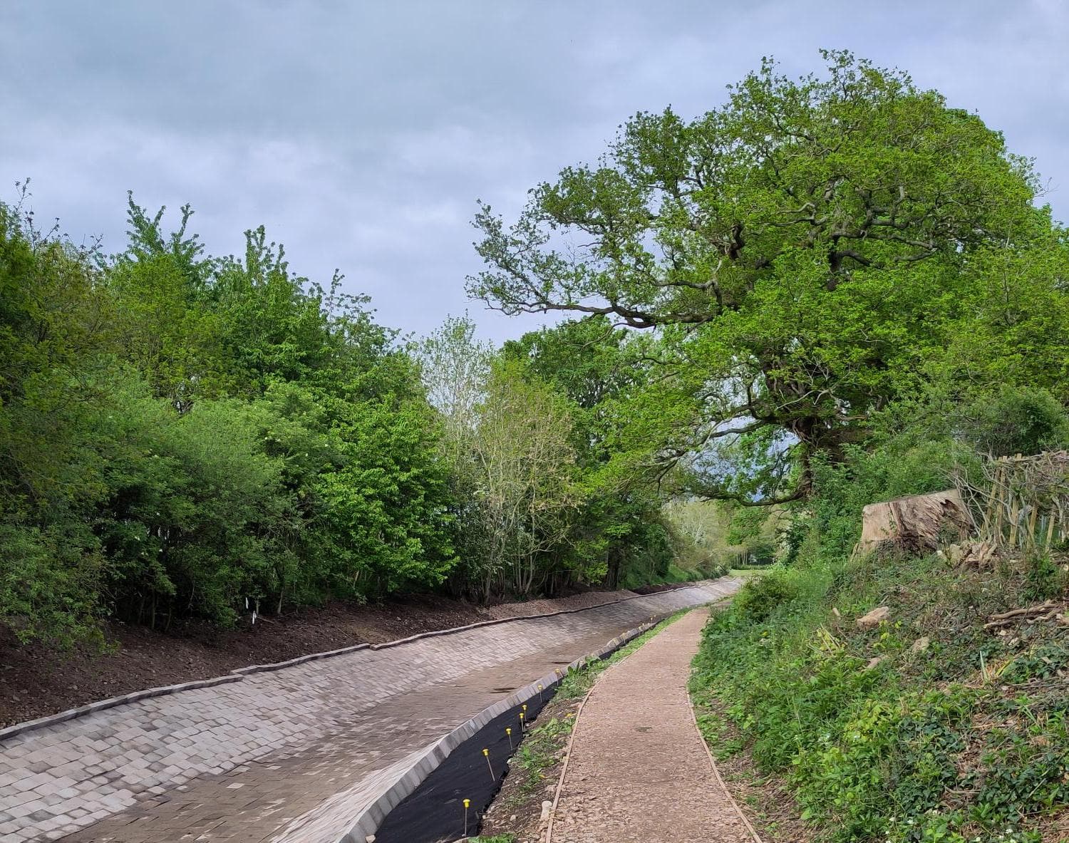 Montgomery Canal restoration progress