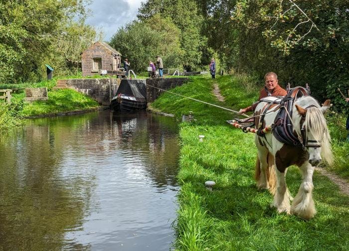 Shropshire fly horse-boating returns to the Montgomery