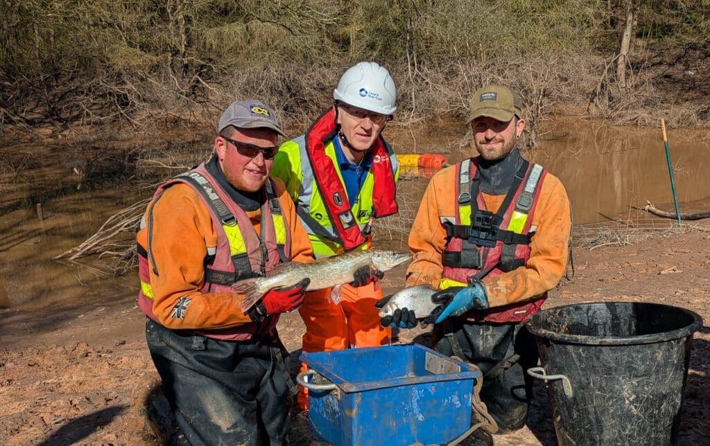 Fish rescue begins at Whitchurch following canal breach