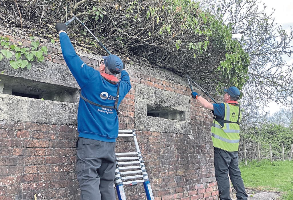 Wartime pill boxes on Kennet & Avon Canal repurposed as bat habitats