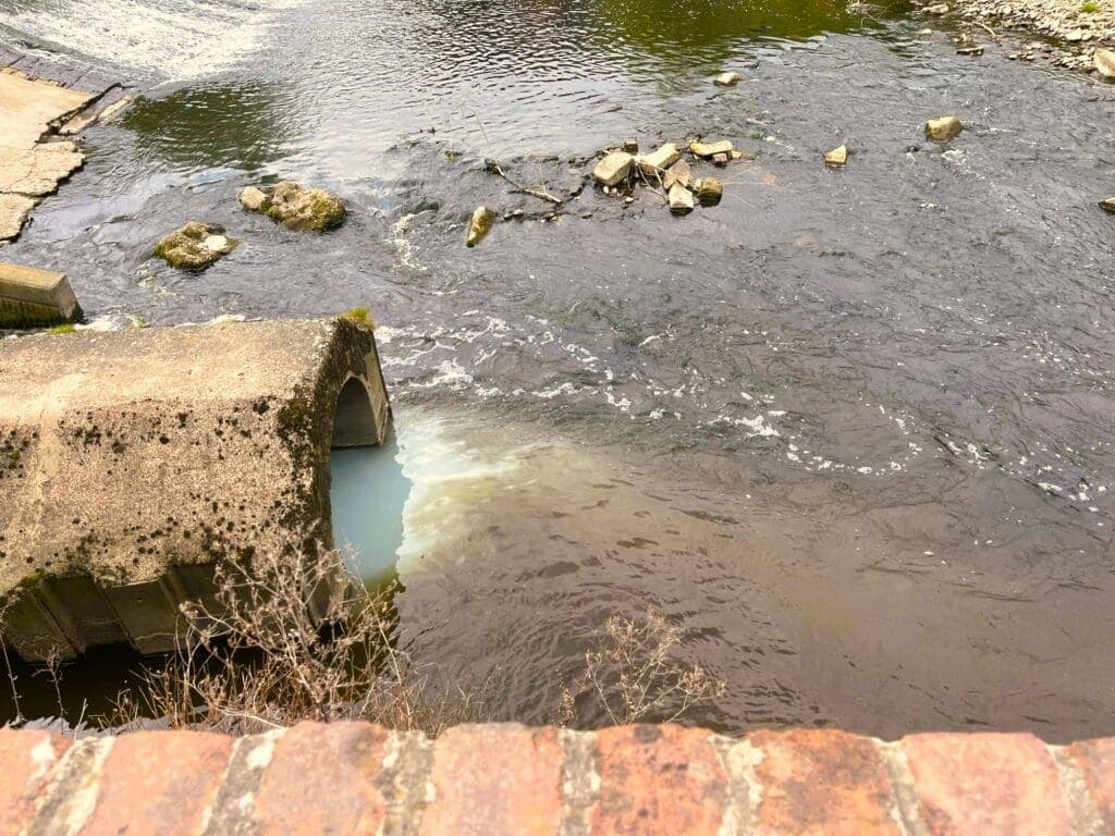 Thousands join UK’s biggest ever citizen science river survey