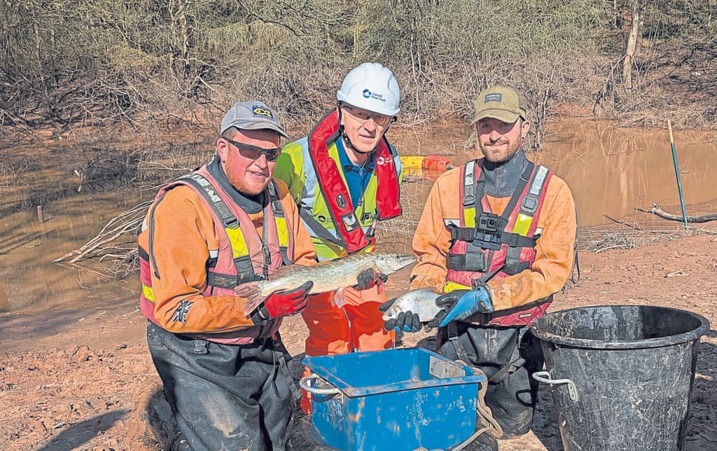 Hidden leak likely cause of Whitchurch breach, investigators find