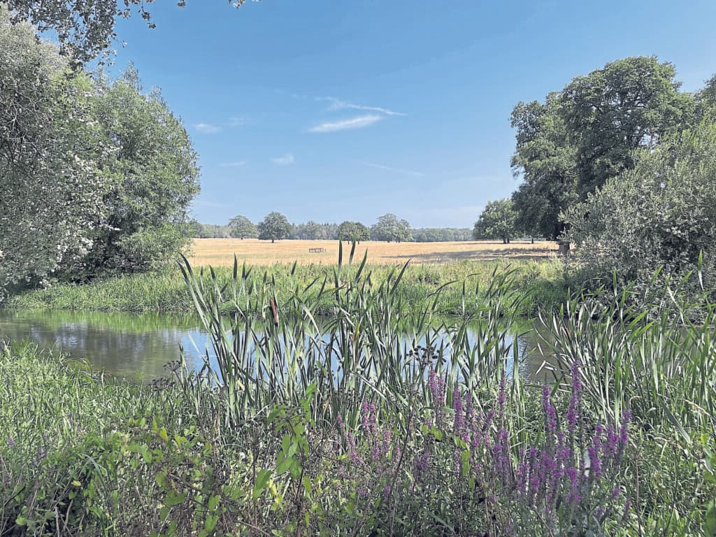 River rights recognised in growing grassroots movement