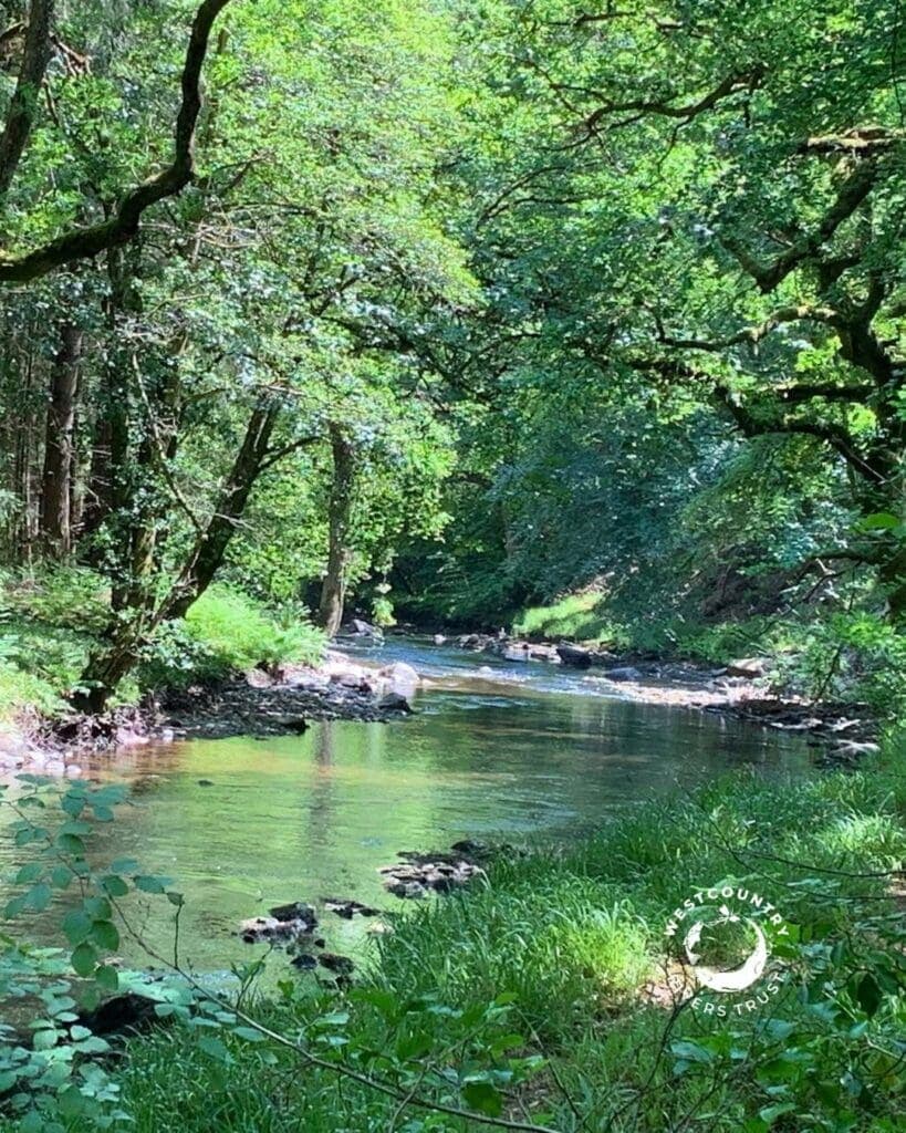 £60,000 boost for fish passage in River Teign catchment